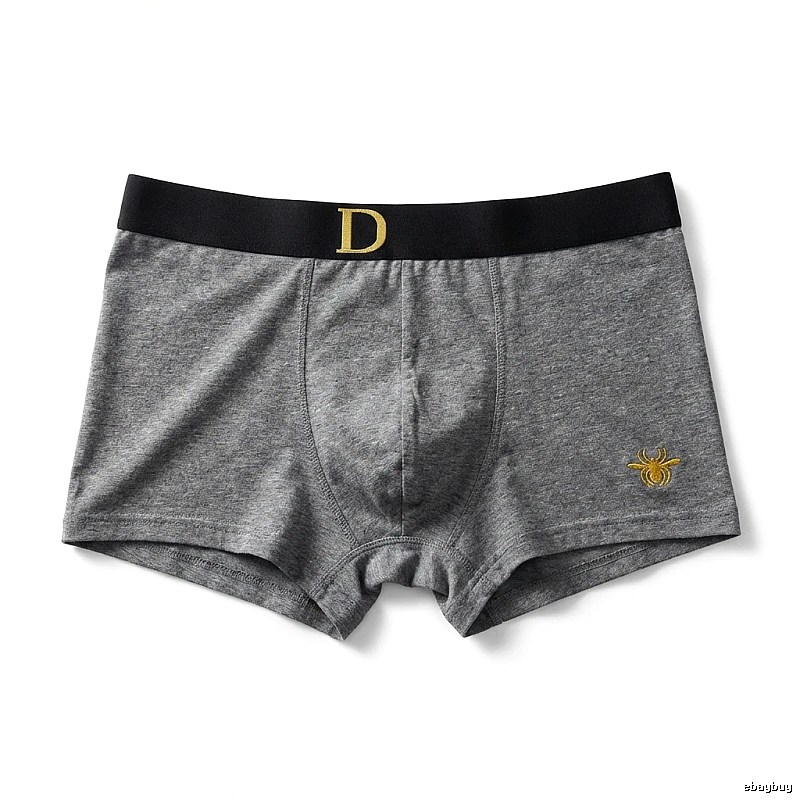 Dior minimalist style grey underwear