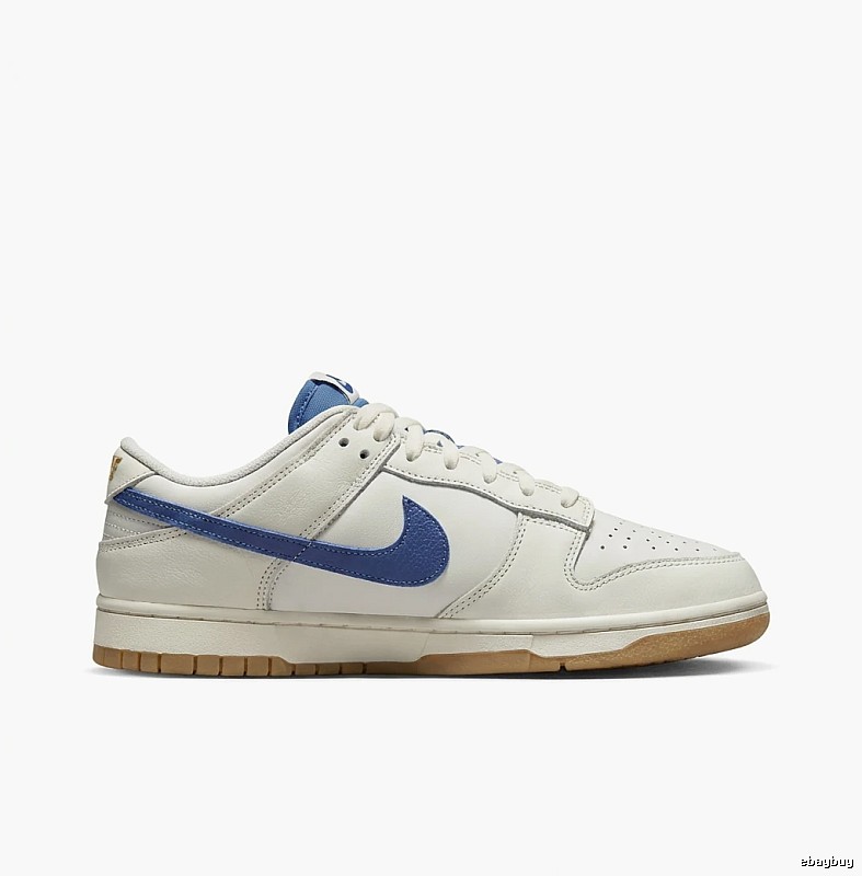 Nike Dunk Retro Style White and Blue Shoes